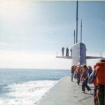 devine007.jpg devine007.jpg