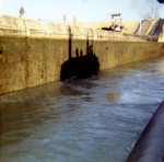 devine015.jpg devine015.jpg